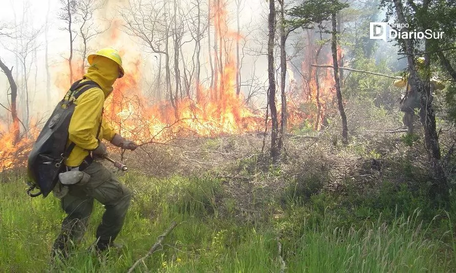 Abren postulaciones orientadas a formar equipos para combatir incendios forestales