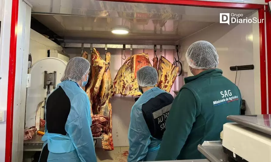 Provincia de Osorno concentra casi 70% de la carne decomisada en la región 