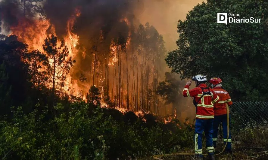 Indap entrega recomendaciones para evitar incendio forestales en la región
