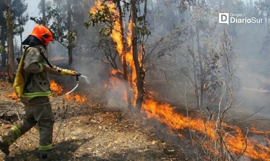 San Pablo toma medidas para enfrentar posibles incendios forestales