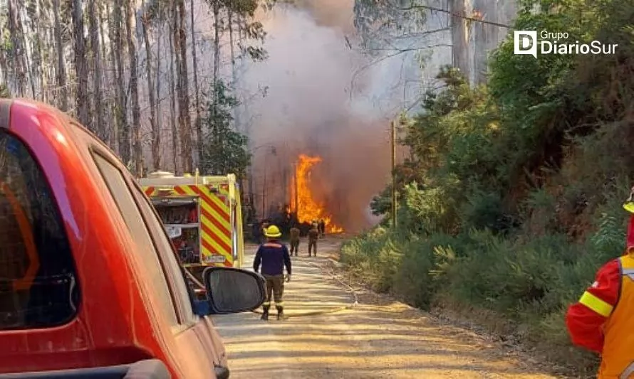 Piden declarar Estado de Catástrofe por incendio forestal en Paillaco