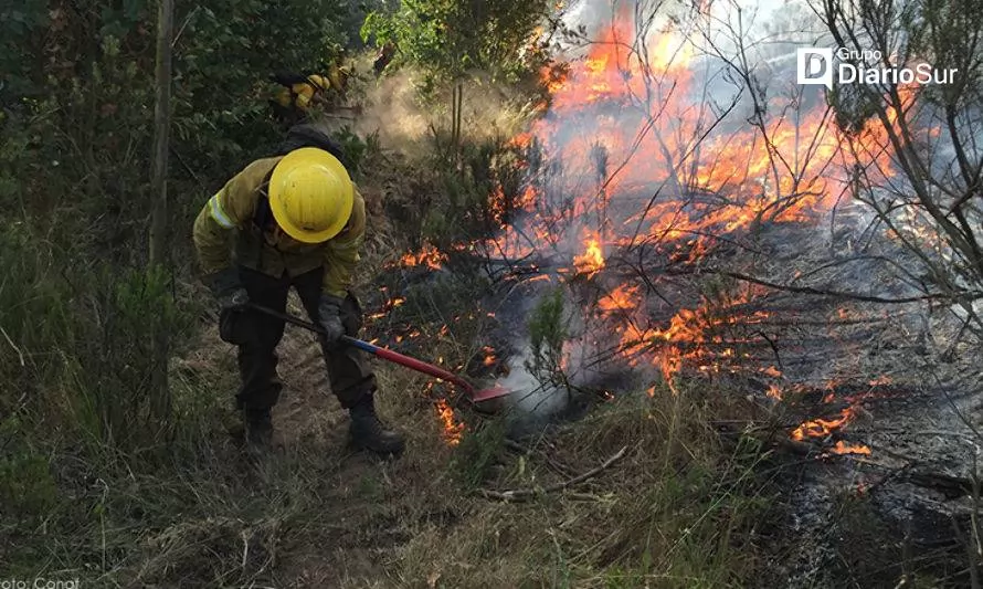 Fuego en bosque de Aleucapi moviliza a bomberos y brigadistas en Osorno