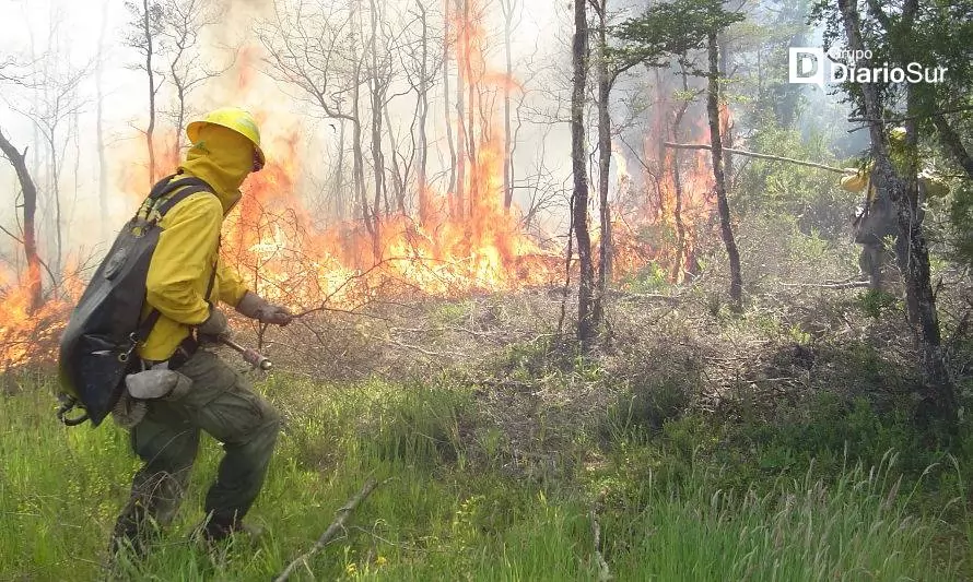 Comité coordina respuesta ante incendios forestales en la zona