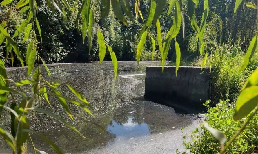 Autoridades anuncian acciones por posible contaminación en río Chifin 