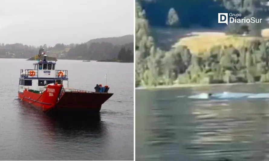 “Monstruo del lago Ranco”: avistamiento desde barcaza sería clave para explicarlo