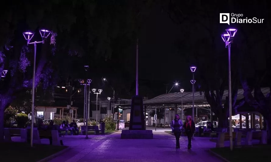 Plaza de Puerto Varas se iluminó de púrpura por la epilepsia