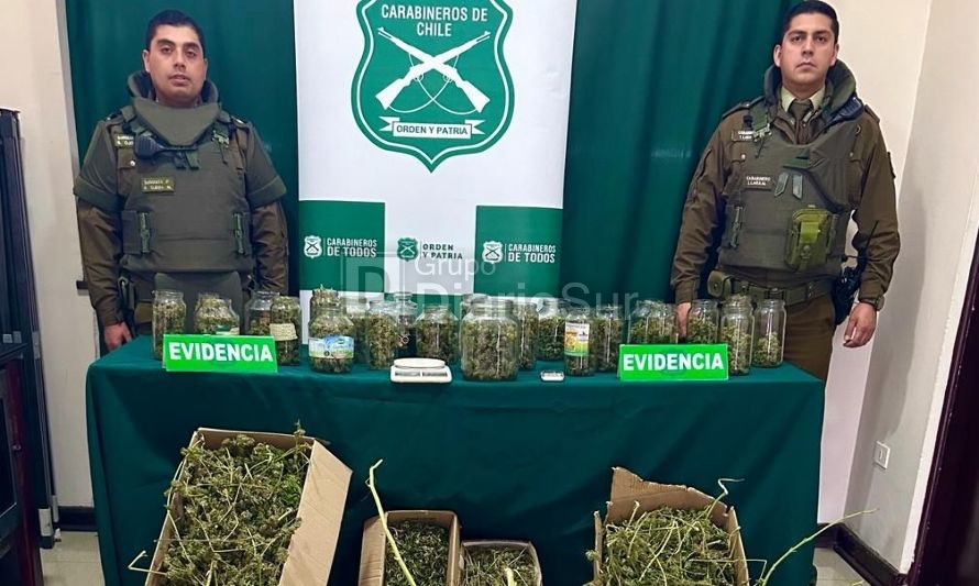 Encuentran más de 5 kilos de marihuana en domicilio de Osorno