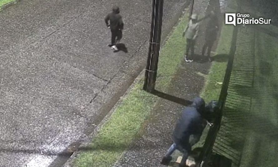 Valdivia: Banda de ladrones llegó a casa "sin moradores", pero apareció la dueña...