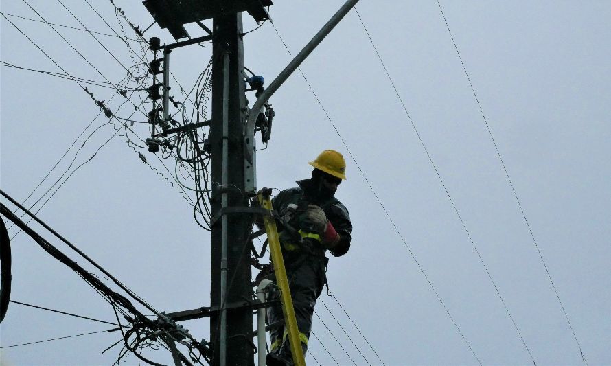 Saesa realizará trabajos para fortalecer la red eléctrica en Puyehue