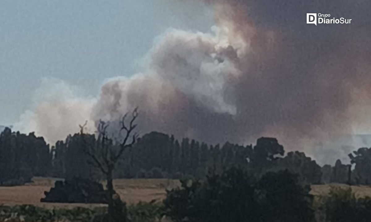 Se reactivó incendio forestal en Osorno