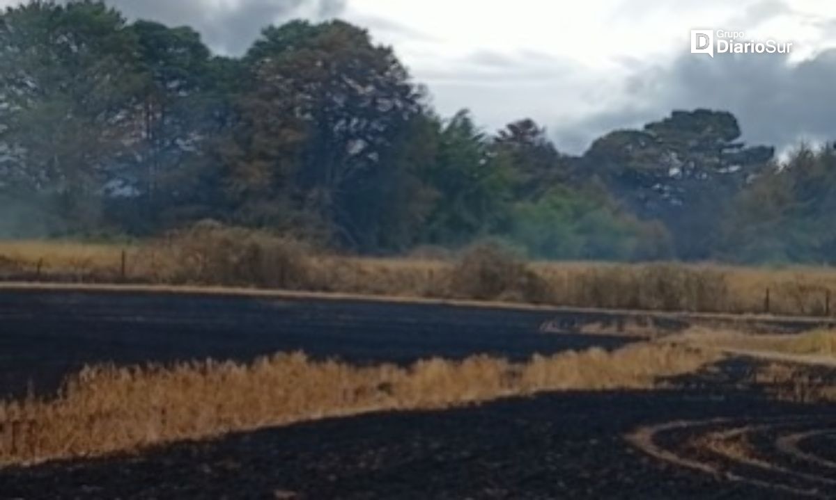 Sigue el combate del incendio forestal en la comuna de San Pablo