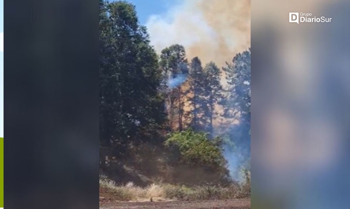Bomberos concurren a incendio en Purranque