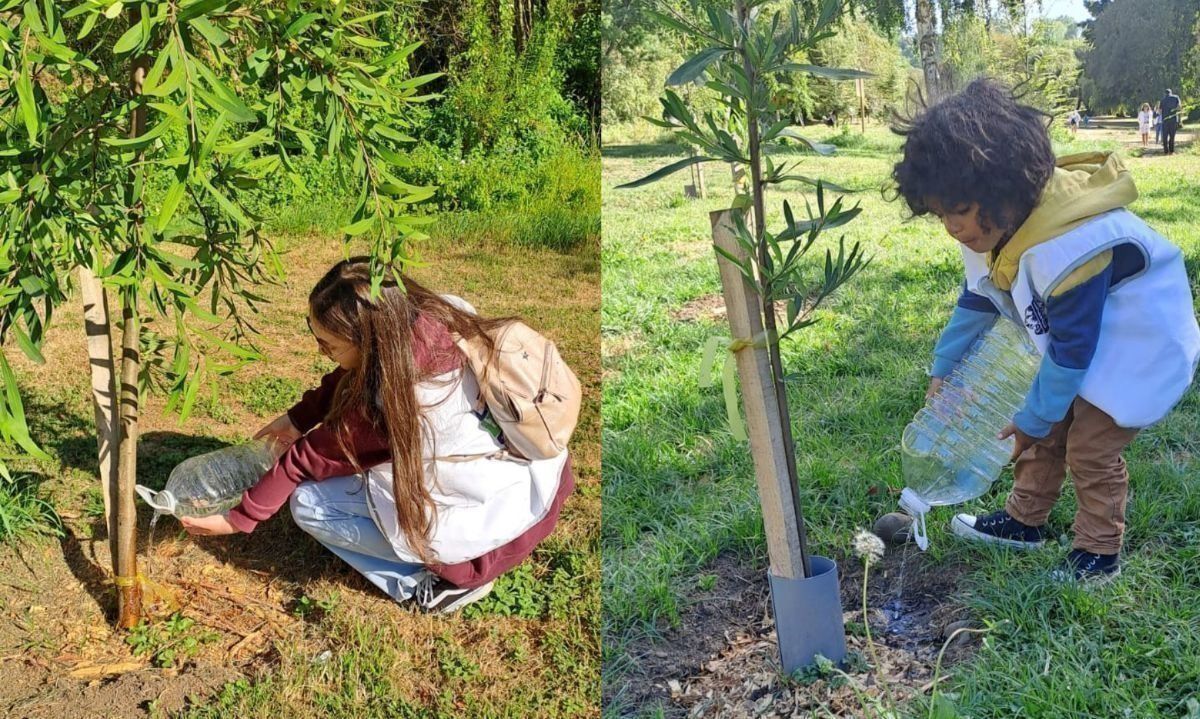Lanzan campaña en Osorno "Riega tu árbol, comencemos por casa"