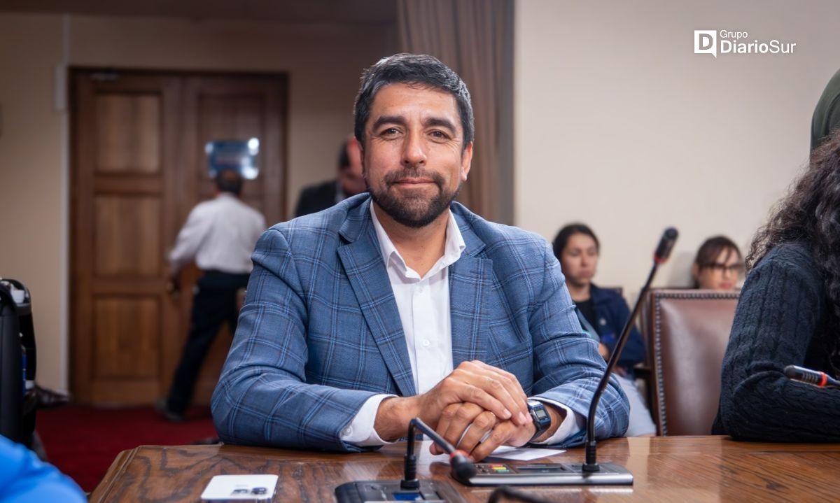 Diputado Héctor Barría apoya el uso de estufas a leña ante su inminente prohibición
